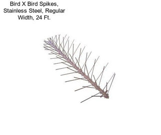 Bird X Bird Spikes, Stainless Steel, Regular Width, 24 Ft.