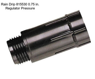 Rain Drip 815530 0.75 in. Regulator Pressure