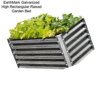 EarthMark Galvanized High Rectangular Raised Garden Bed