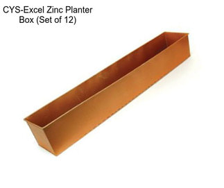 CYS-Excel Zinc Planter Box (Set of 12)