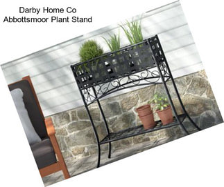 Darby Home Co Abbottsmoor Plant Stand