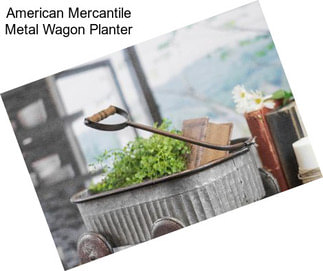 American Mercantile Metal Wagon Planter