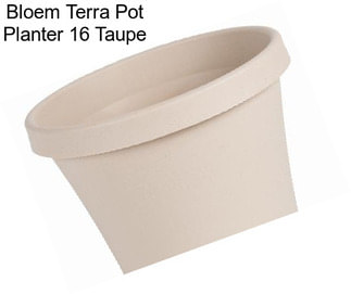 Bloem Terra Pot Planter 16\