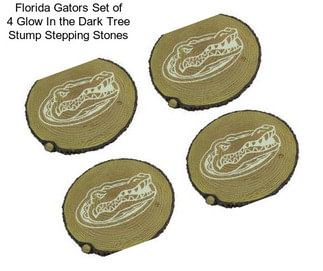 Florida Gators Set of 4 Glow In the Dark Tree Stump Stepping Stones