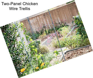 Two-Panel Chicken Wire Trellis