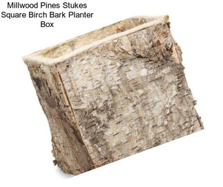 Millwood Pines Stukes Square Birch Bark Planter Box