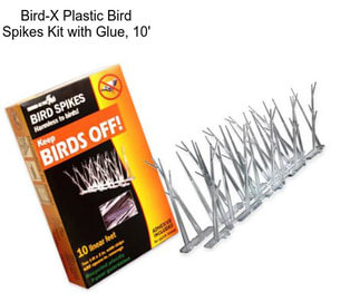 Bird-X Plastic Bird Spikes Kit with Glue, 10\'