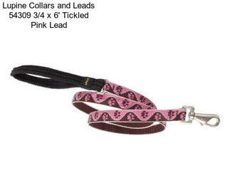 Lupine Collars and Leads 54309 3/4\