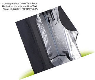 Costway Indoor Grow Tent Room Reflective Hydroponic Non Toxic Clone Hut 6 Size (32\'\'X32\'\'X63\'\')