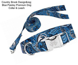 Country Brook Design® Blue Paisley Premium Dog Collar & Leash