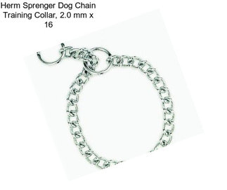 Herm Sprenger Dog Chain Training Collar, 2.0 mm x 16\