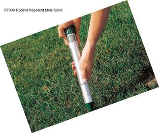 P7900 Rodent Repellent Mole Sonic