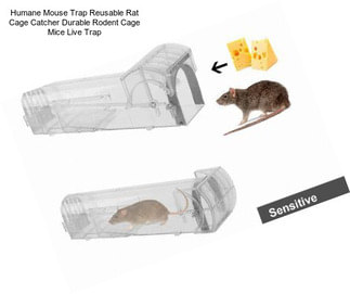 Humane Mouse Trap Reusable Rat Cage Catcher Durable Rodent Cage Mice Live Trap
