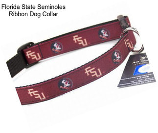 Florida State Seminoles Ribbon Dog Collar