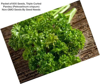 Packet of 600 Seeds, Triple Curled Parsley (Petroselinum crispum) Non-GMO Seeds By Seed Needs