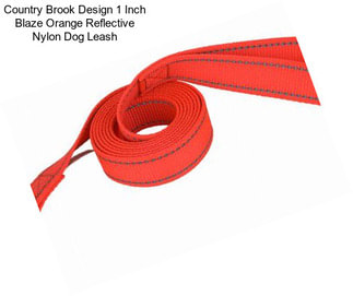 Country Brook Design 1 Inch Blaze Orange Reflective Nylon Dog Leash