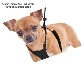 Yuppie Puppy Anti-Pull Mesh Harness, Multiple Sizes