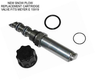 NEW SNOW PLOW REPLACEMENT CARTRIDGE VALVE FITS MEYER E 15919