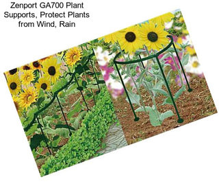 Zenport GA700 Plant Supports, Protect Plants from Wind, Rain