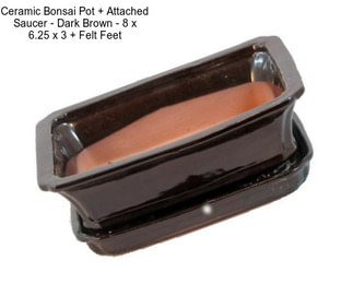 Ceramic Bonsai Pot + Attached Saucer - Dark Brown - 8\