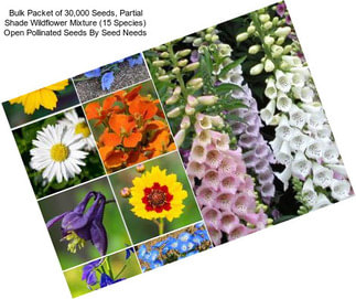 Bulk Packet of 30,000 Seeds, Partial Shade Wildflower Mixture (15 Species) Open Pollinated Seeds By Seed Needs