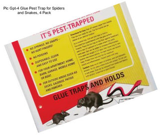 Pic Gpt-4 Glue Pest Trap for Spiders and Snakes, 4 Pack