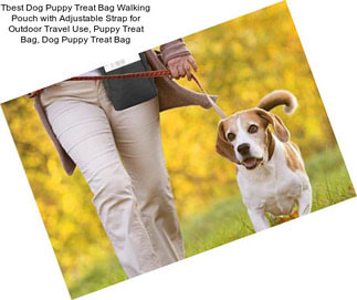 Tbest Dog Puppy Treat Bag Walking Pouch with Adjustable Strap for Outdoor Travel Use, Puppy Treat Bag, Dog Puppy Treat Bag