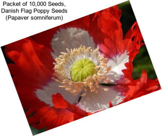 Packet of 10,000 Seeds, Danish Flag Poppy Seeds (Papaver somniferum)