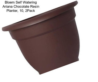 Bloem Self Watering Ariana Chocolate Resin Planter, 10\