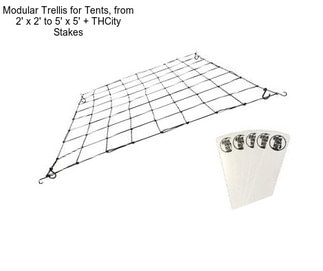 Modular Trellis for Tents, from 2\' x 2\' to 5\' x 5\' + THCity Stakes