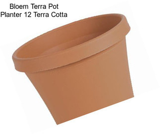 Bloem Terra Pot Planter 12\