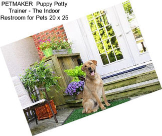 PETMAKER  Puppy Potty Trainer - The Indoor Restroom for Pets 20 x 25