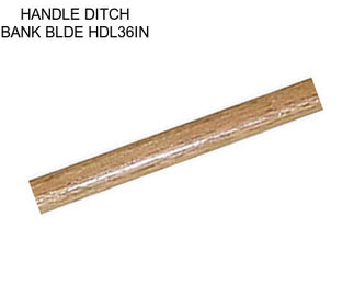HANDLE DITCH BANK BLDE HDL36IN