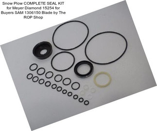 Snow Plow COMPLETE SEAL KIT for Meyer Diamond 15254 for Buyers SAM 1306150 Blade by The ROP Shop
