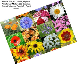 Packet of 3,000 Seeds, Dryland Wildflower Mixture (20 Species) Open Pollinated Seeds By Seed Needs