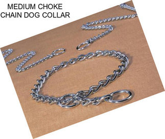 MEDIUM CHOKE CHAIN DOG COLLAR