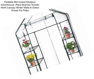 Portable Mini Indoor/Outdoor Greenhouse, Plant Shelves Tomato Herb Canopy Winter Walk-In Green House For Patio