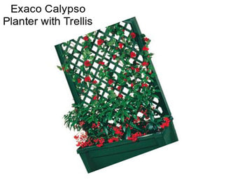 Exaco Calypso Planter with Trellis