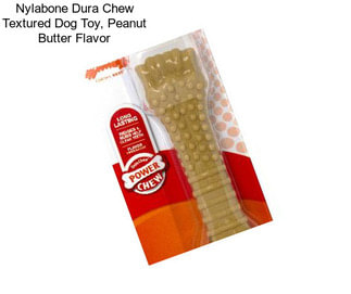 Nylabone Dura Chew Textured Dog Toy, Peanut Butter Flavor