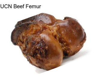 UCN Beef Femur