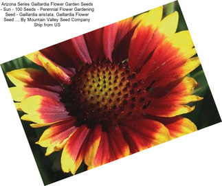 Arizona Series Gaillardia Flower Garden Seeds - Sun - 100 Seeds - Perennial Flower Gardening Seed - Gaillardia aristata, Gaillardia Flower Seed .., By Mountain Valley Seed Company Ship from US