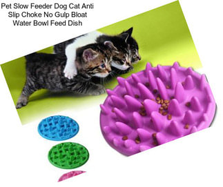 Pet Slow Feeder Dog Cat Anti Slip Choke No Gulp Bloat Water Bowl Feed Dish