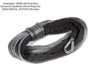 Champion 18038 46-Foot Gray Dyneema Synthetic Winch Rope for 2000-3500-lb. ATV/UTV Winches