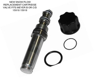 NEW SNOW PLOW REPLACEMENT CARTRIDGE VALVE FITS MEYER B OR C/D 15918 15918