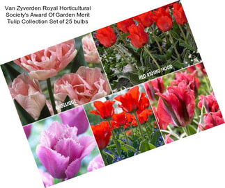 Van Zyverden Royal Horticultural Society\'s Award Of Garden Merit Tulip Collection Set of 25 bulbs