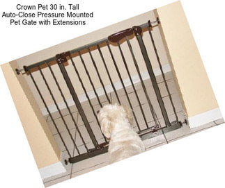 Crown Pet 30 in. Tall Auto-Close Pressure Mounted Pet Gate with Extensions