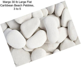 Margo 30 lb Large Flat Caribbean Beach Pebbles, 3\