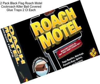 2 Pack Black Flag Roach Motel Cockroach Killer Bait Covered Glue Traps 2 Ct Each