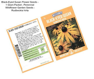 Black-Eyed Susan Flower Seeds - 1 Gram Packet - Perennial Wildflower Garden Seeds - Rudbeckia hirta