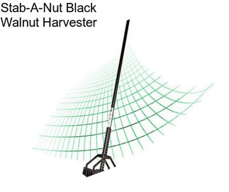 Stab-A-Nut Black Walnut Harvester